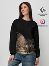 Женский свитшот / Disintegrating Cat