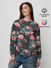 Женский свитшот / Flamingo