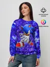 Женский свитшот / Sonic | Молнии