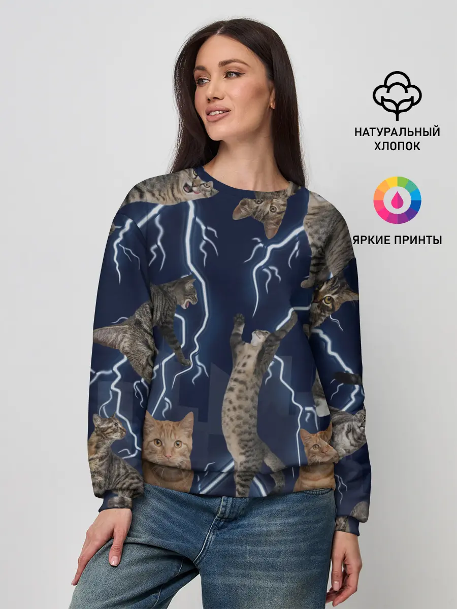 Женский свитшот / Коты