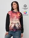 Женский свитшот / КОТ