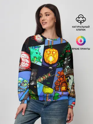 Женский свитшот / Terraria allpic