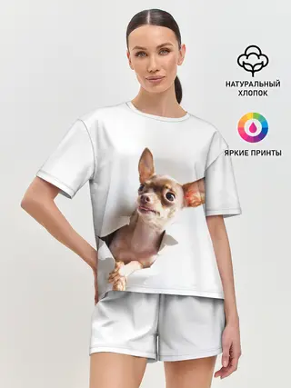Женская пижама с шортами / Чихуахуа из бумаги вылазит