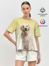 Женская пижама с шортами / Лабрадор ретривер пес