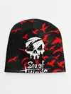 Детская шапка / SEA OF THIEVES