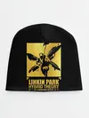 Детская шапка / Hybrid Theory 20th Anniversary