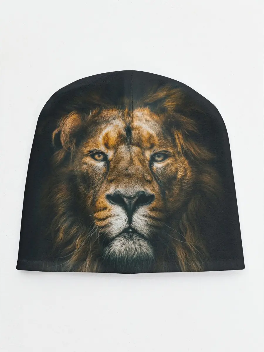 Детская шапка / Лев