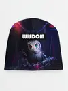 Детская шапка / WISDOM