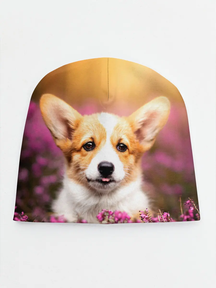 Детская шапка / Вельш-корги