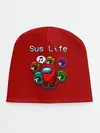 Детская шапка / Sus Life