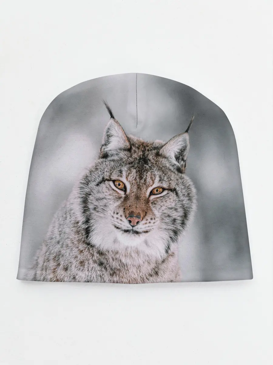 Детская шапка / Рысь