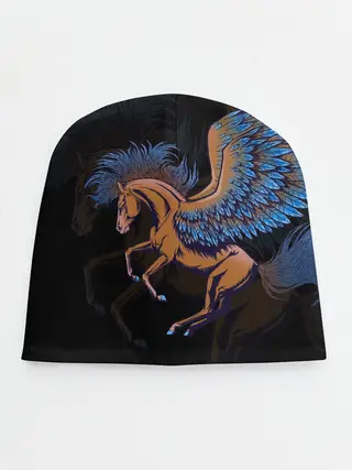 Детская шапка / Pegasus wings