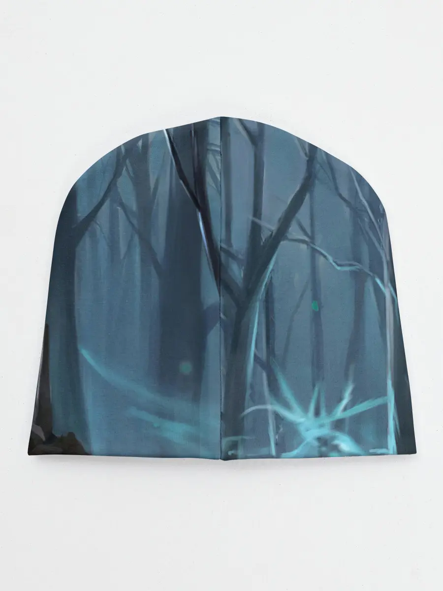 Детская шапка / Ведьмак 2