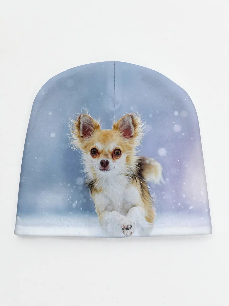 Детская шапка / Чихуахуа в снегу