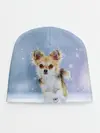Детская шапка / Чихуахуа в снегу