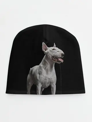 Детская шапка / Bully