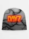 Детская шапка / DAYZ