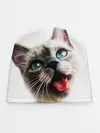 Детская шапка / Котик