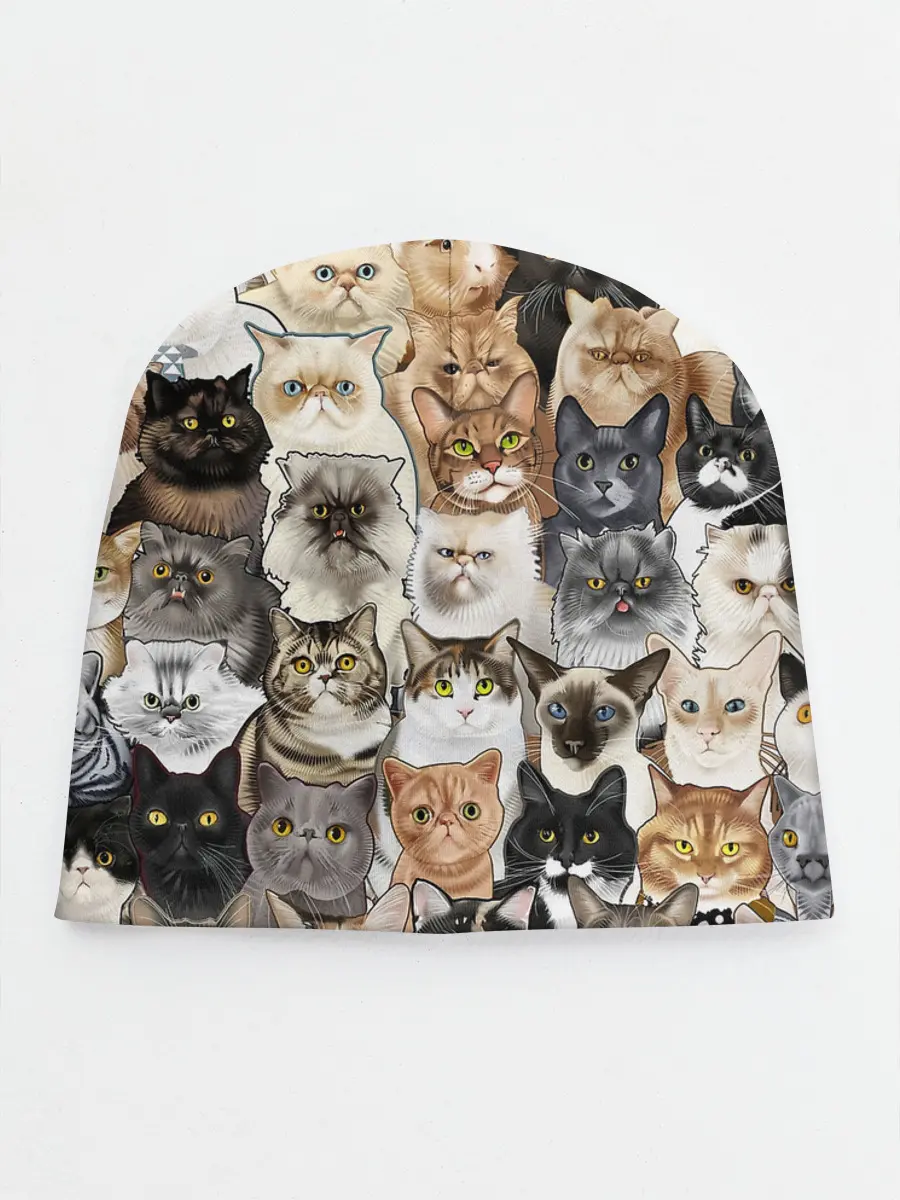 Детская шапка / Котики смешные