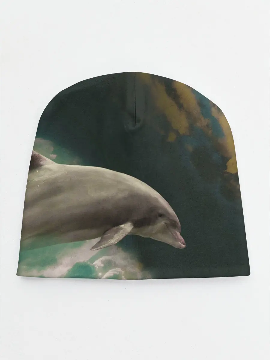 Детская шапка / Дельфин в облаках