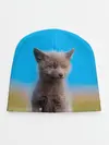 Детская шапка / Смешной лисенок