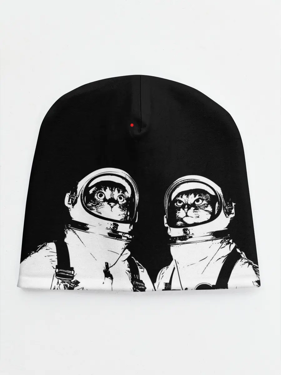 Детская шапка / Коты Космонавты