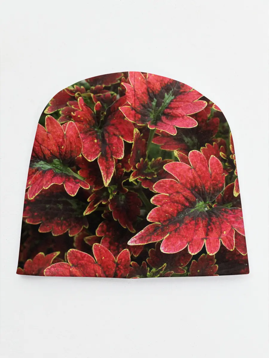 Детская шапка / Красные листья