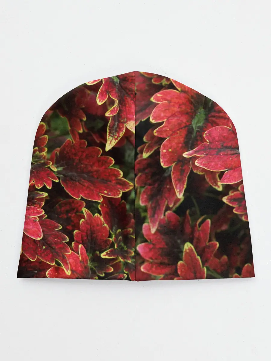 Детская шапка / Красные листья