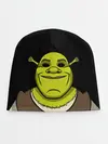 Детская шапка / Шрэк