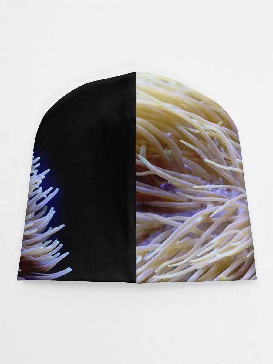 Детская шапка / Клоуны в актинии