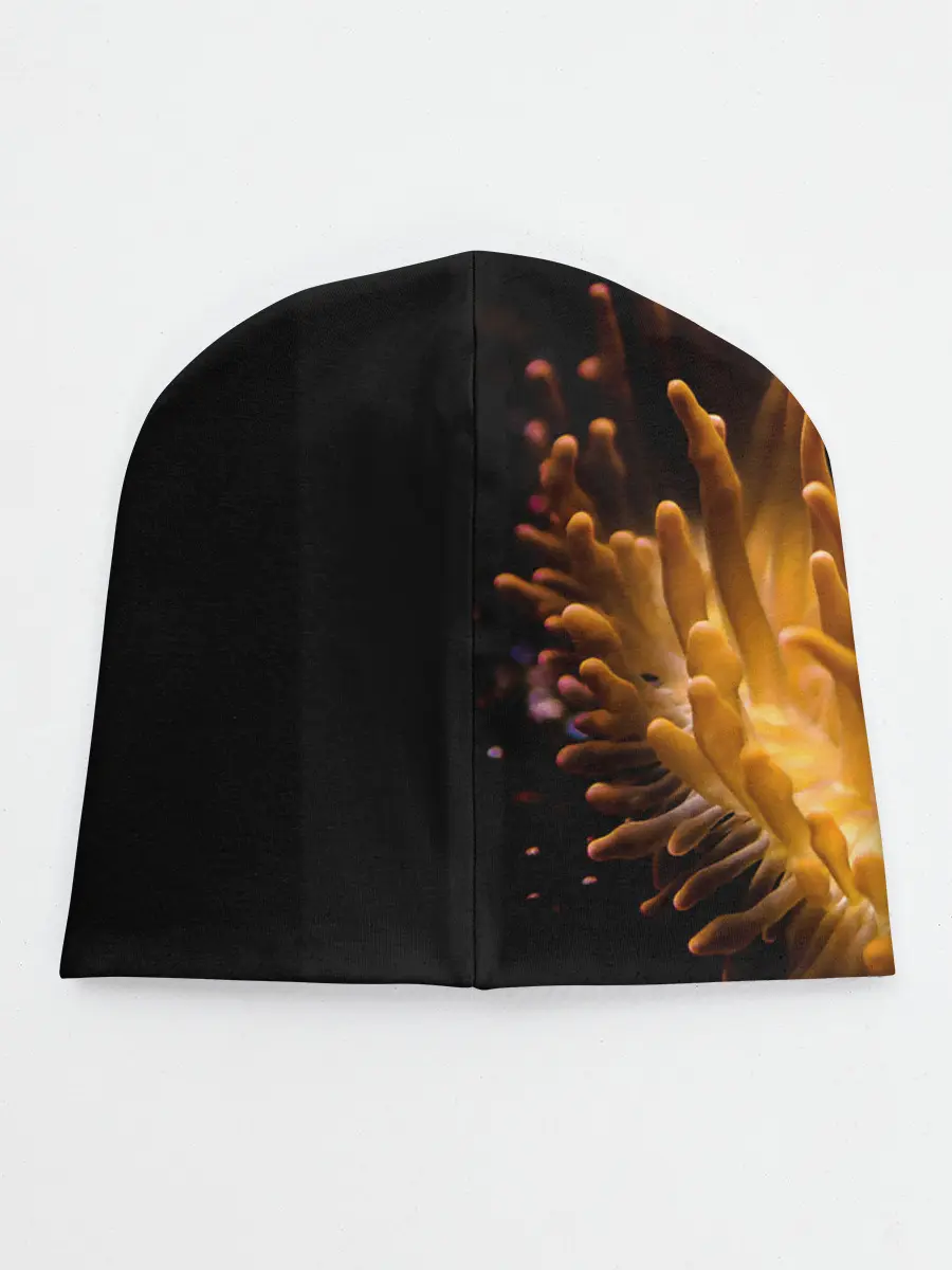 Детская шапка / Клоуны в актинии