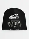 Детская шапка / arctic monkeys
