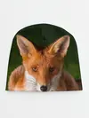 Детская шапка / Лисица