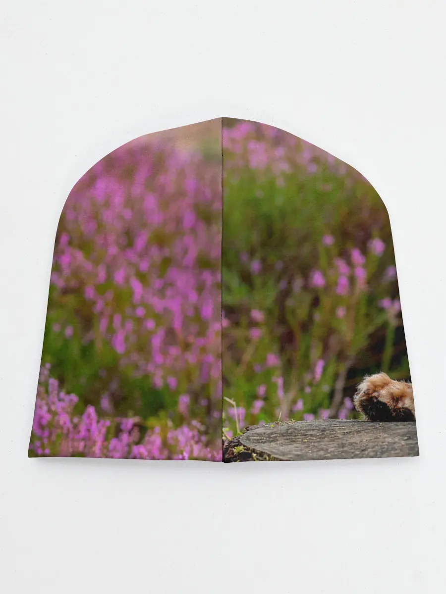 Детская шапка / Dog