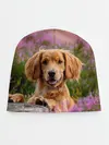 Детская шапка / Dog