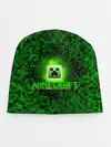 Детская шапка / Minecraft