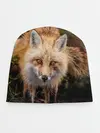 Детская шапка / Лиса