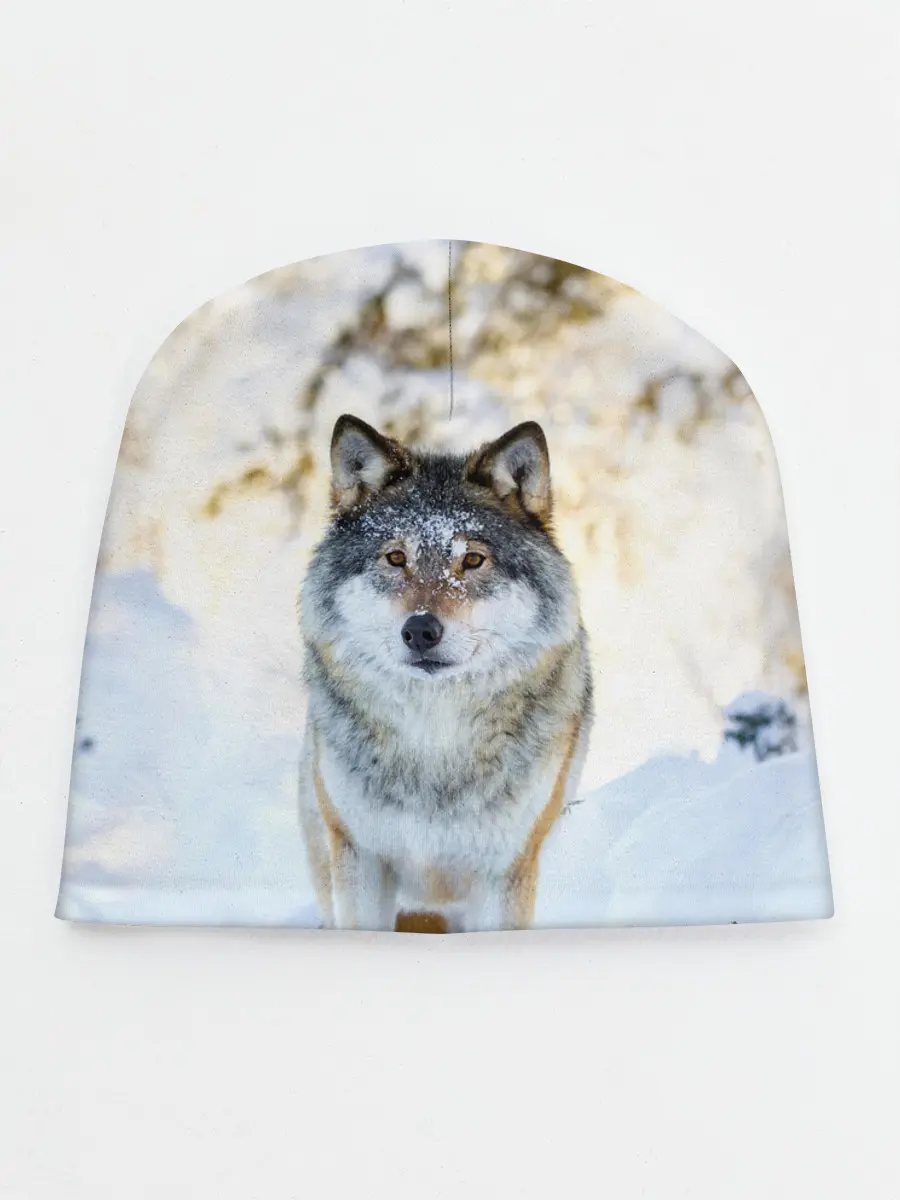 Детская шапка / Я зимой