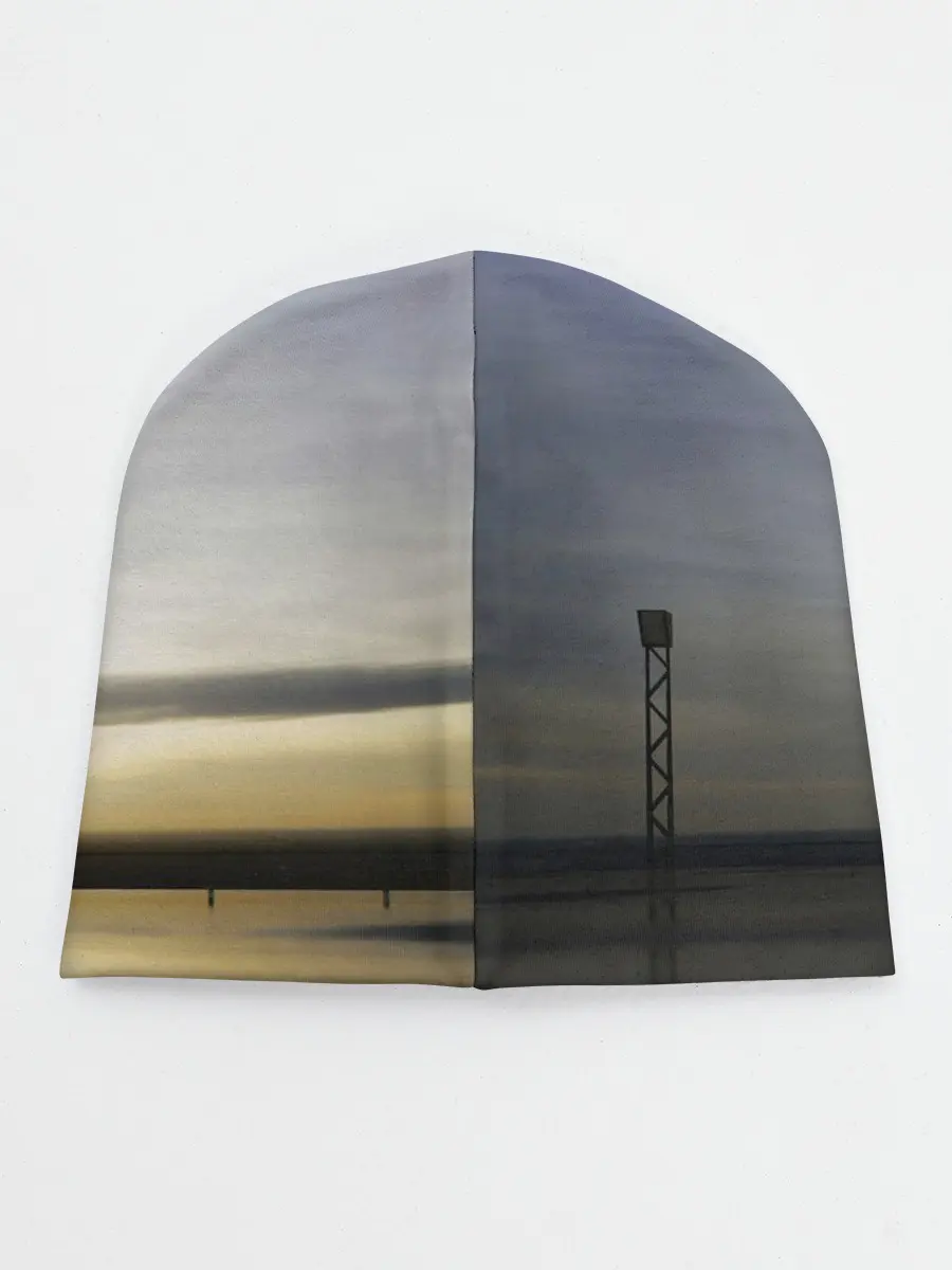 Детская шапка / Tesla Roadster