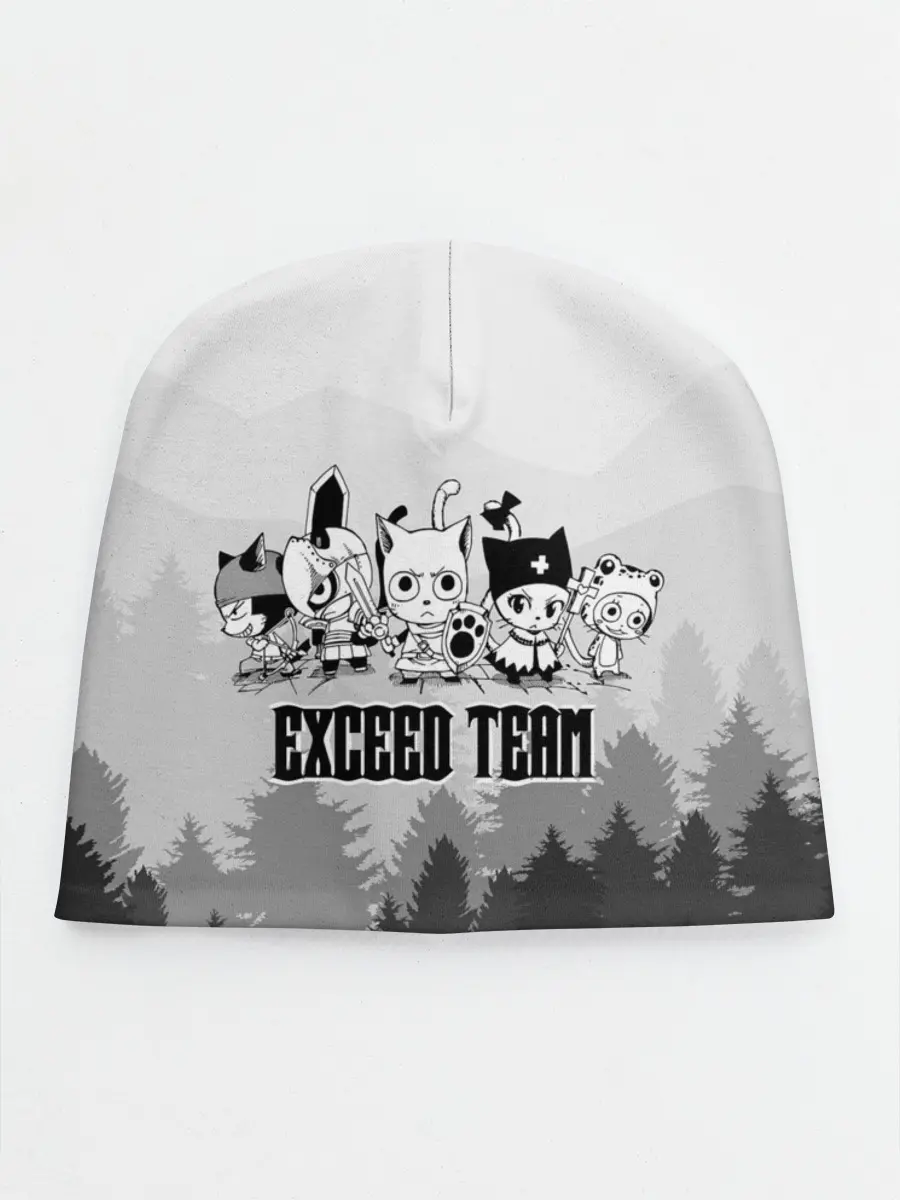 Детская шапка / Exceed Team