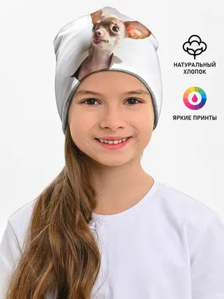 Детская шапка / Чихуахуа из бумаги вылазит