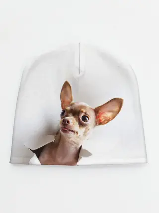 Детская шапка / Чихуахуа из бумаги вылазит
