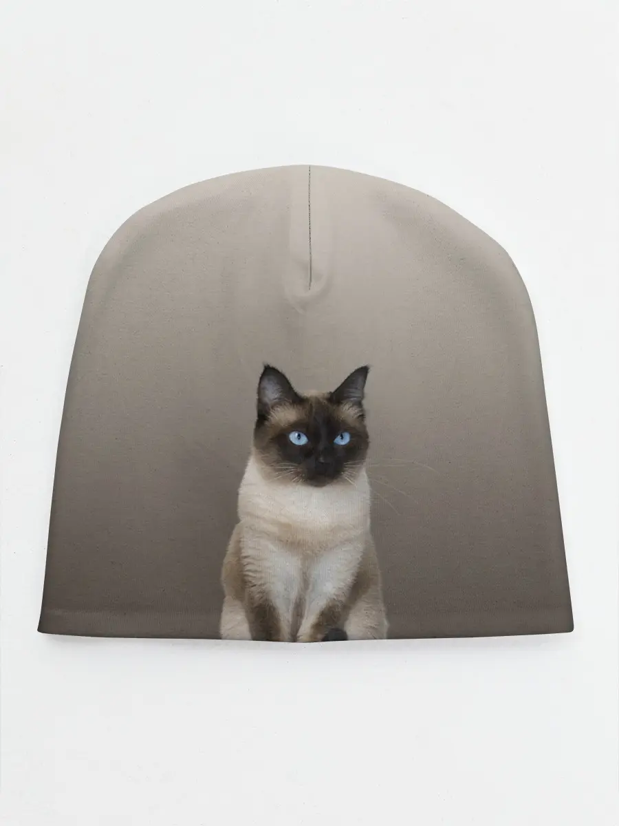 Детская шапка / Сиамский кот голубые глаза