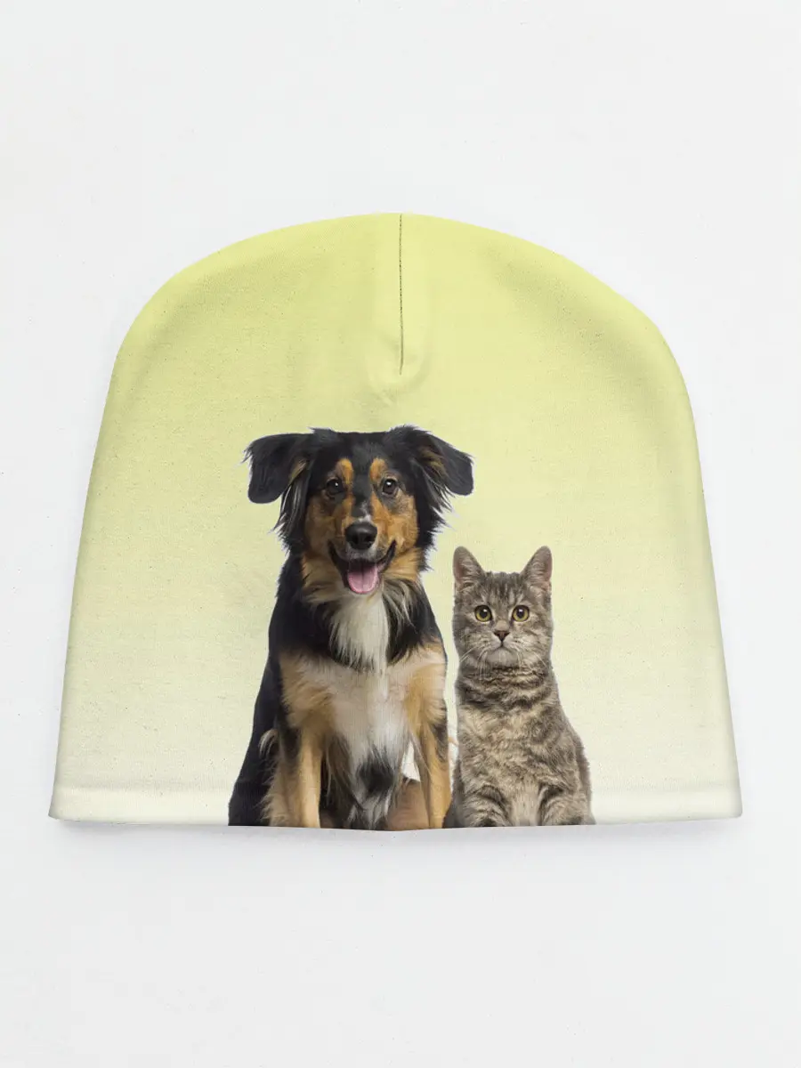 Детская шапка / кошка и собака друзья