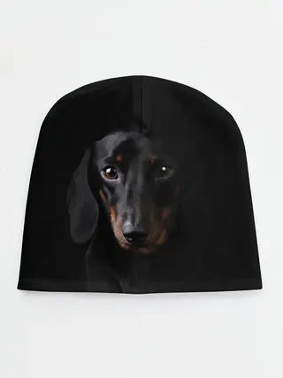 Детская шапка / ТАКСА