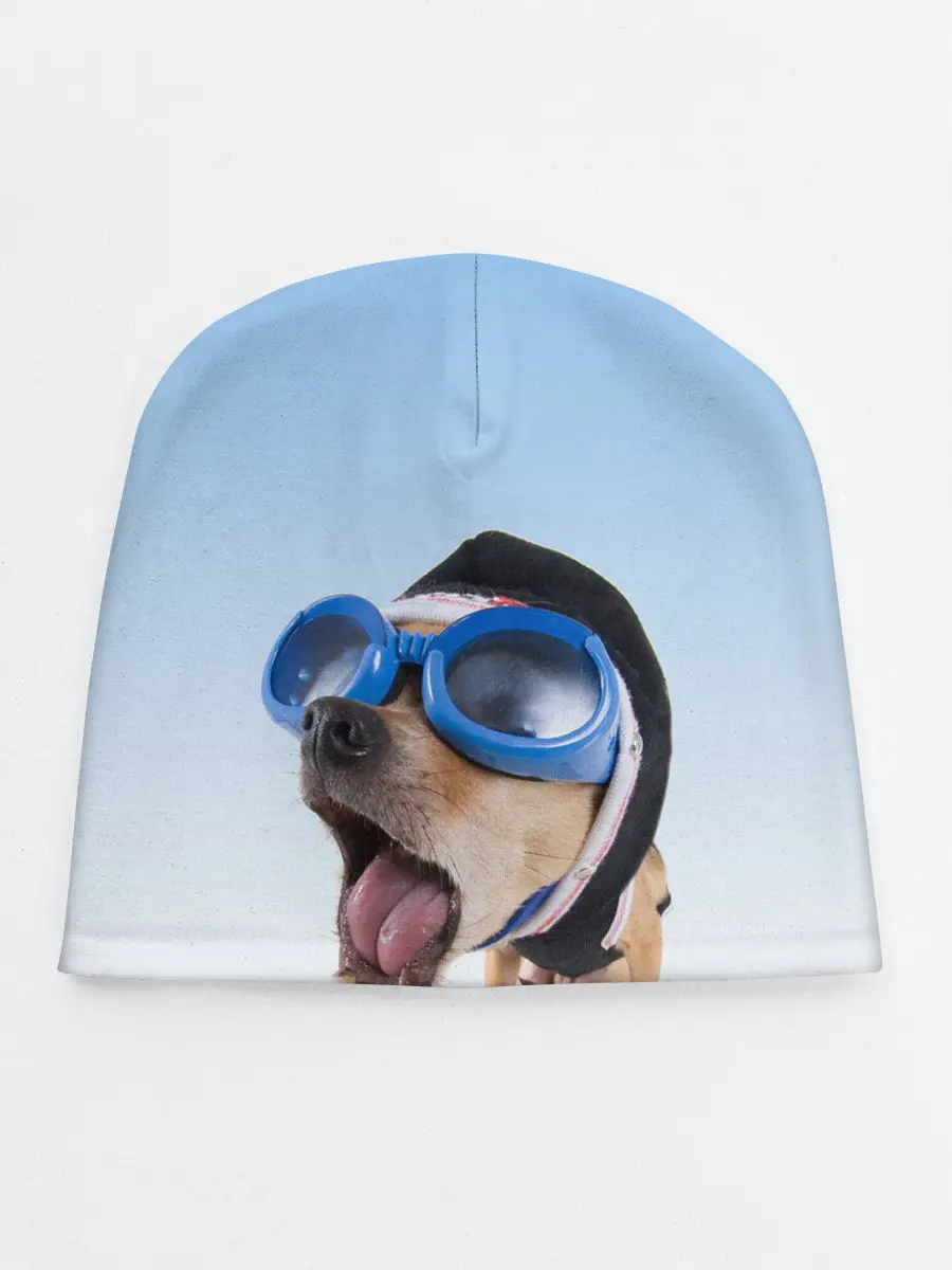 Детская шапка / собака в очках