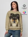 Женский свитшот / Sheltie