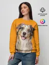 Женский свитшот / Австралийская овчарка