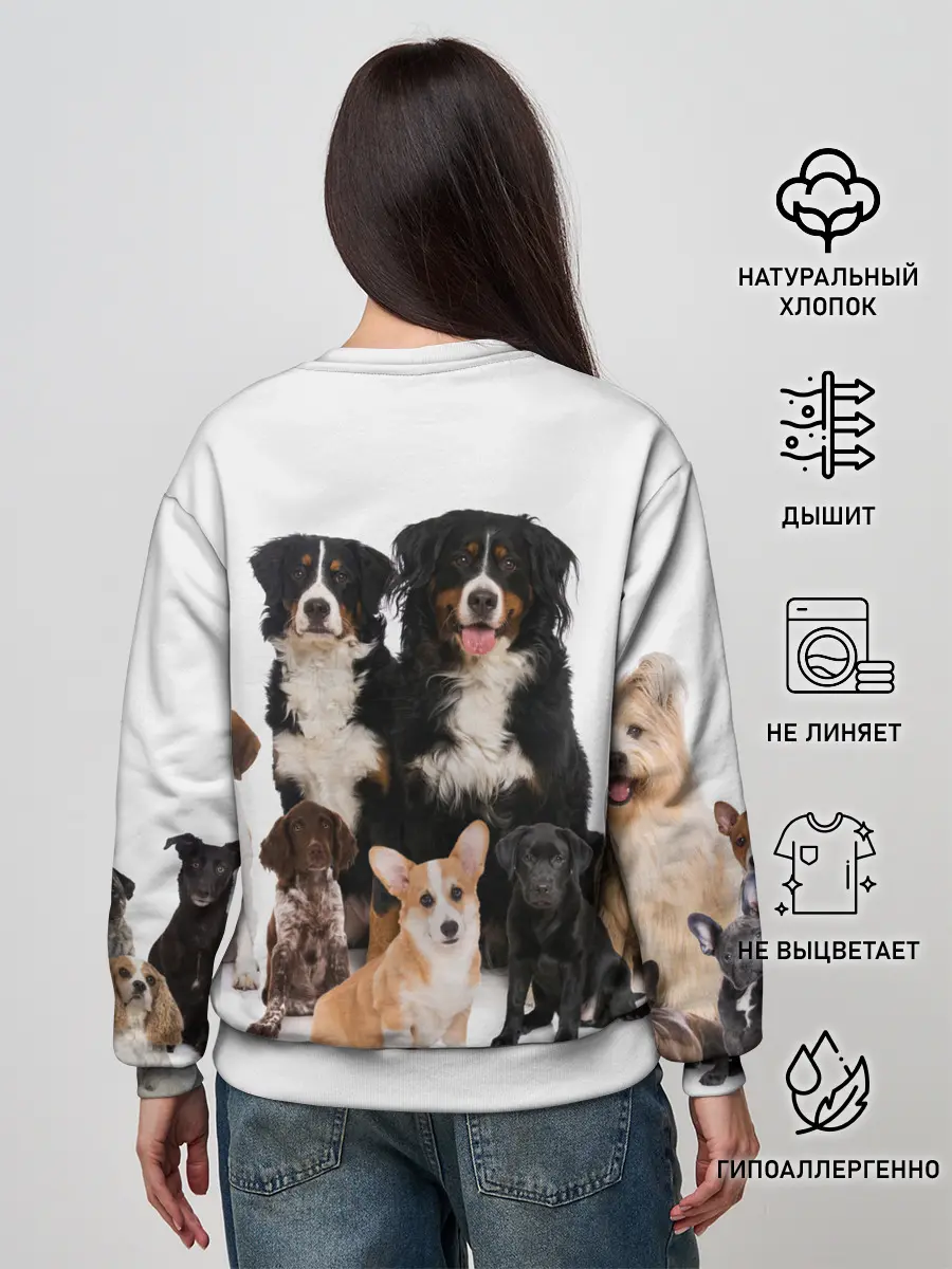 Женский свитшот / Породистые собаки