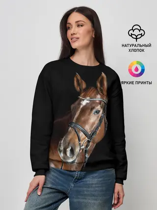 Женский свитшот / Гнедая лошадь